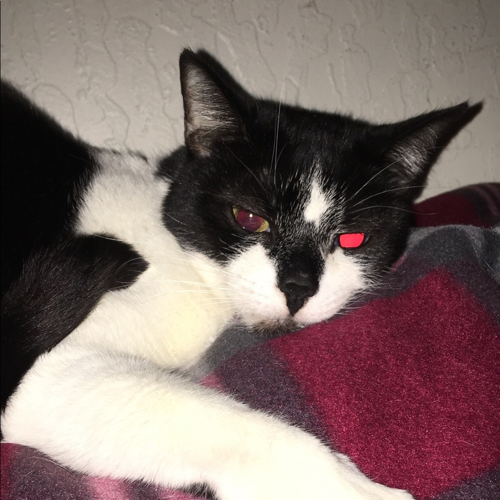 Meet your Posher, Mariela